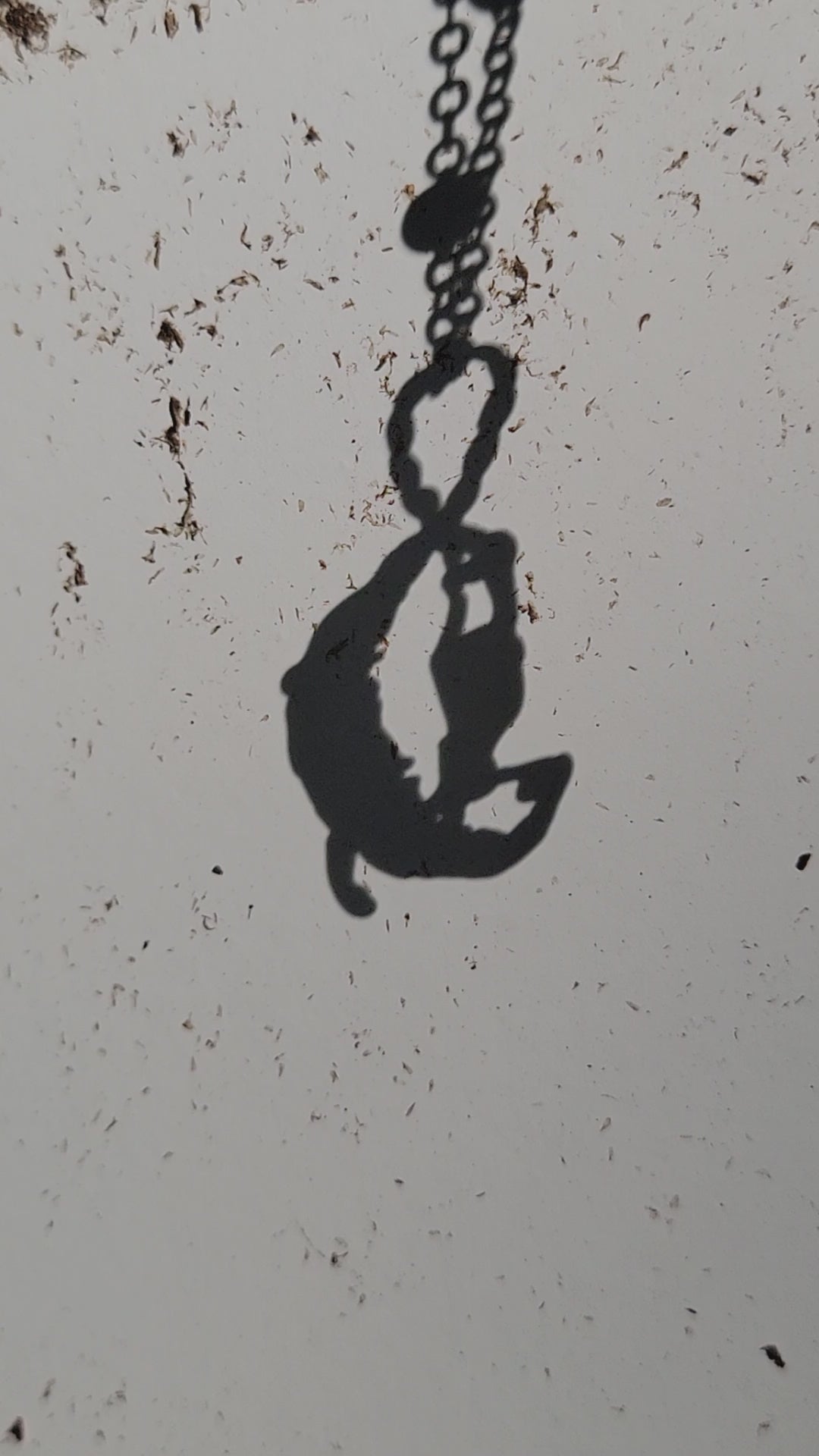 This piece is sexy all on its own. Rarely have we found a piece that has such amazing movement (see the video). You may be able find a moonrider elsewhere, but you'll be hard pressed to find one quite so endowed. This moon delivers. While this beautiful piece may be a little NSFW, she definitely makes a statement wherever she goes. The intricate detail on this piece will have you swooning. We're into it and we think you will be to.