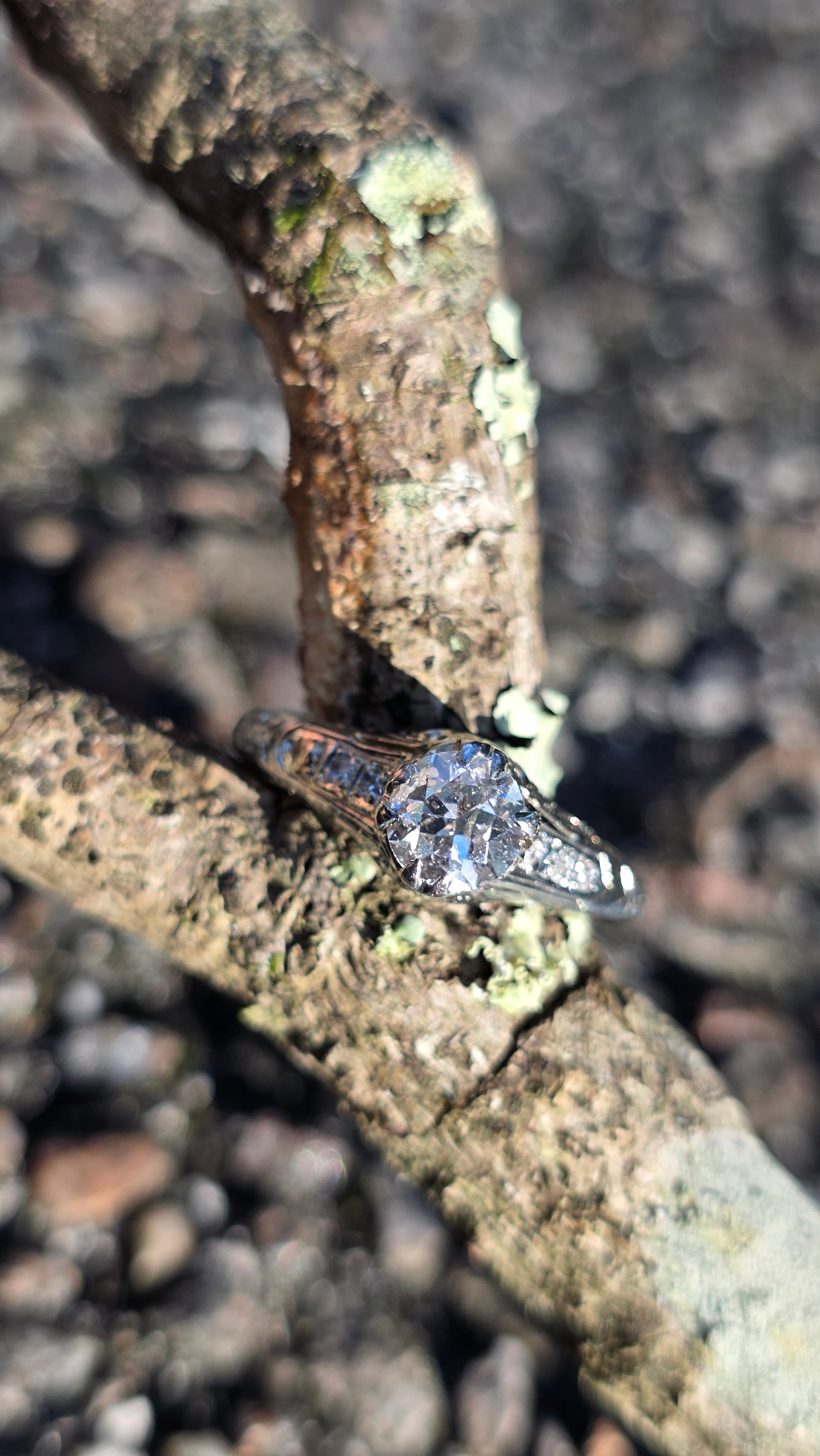 A silver-toned ring with a large clear gemstone set in a natural outdoor environment on a textured tree branch.