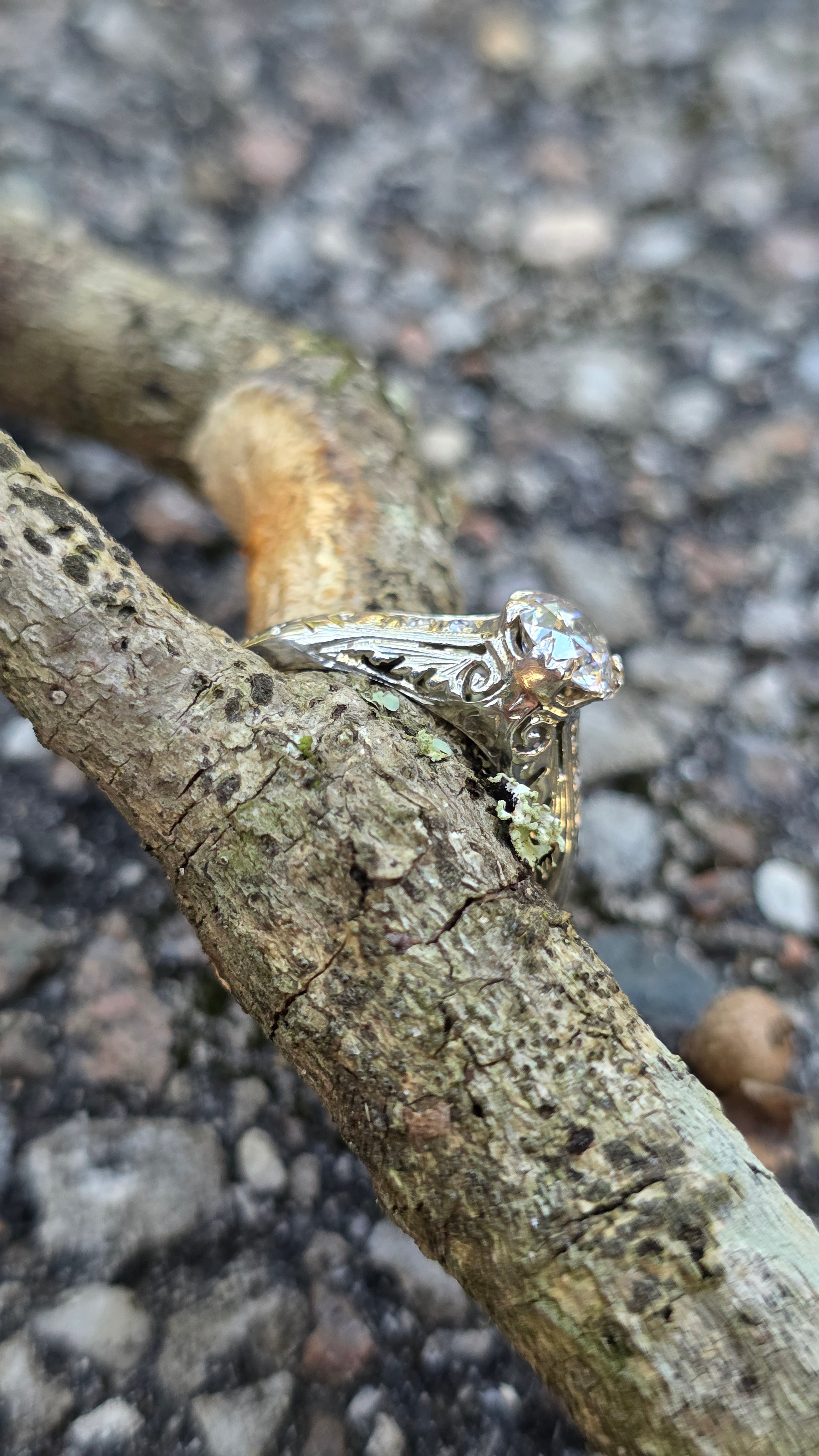 A silver-toned ring with a clear gemstone and intricate filigree detailing, resting on a textured tree branch outdoors over gravel.