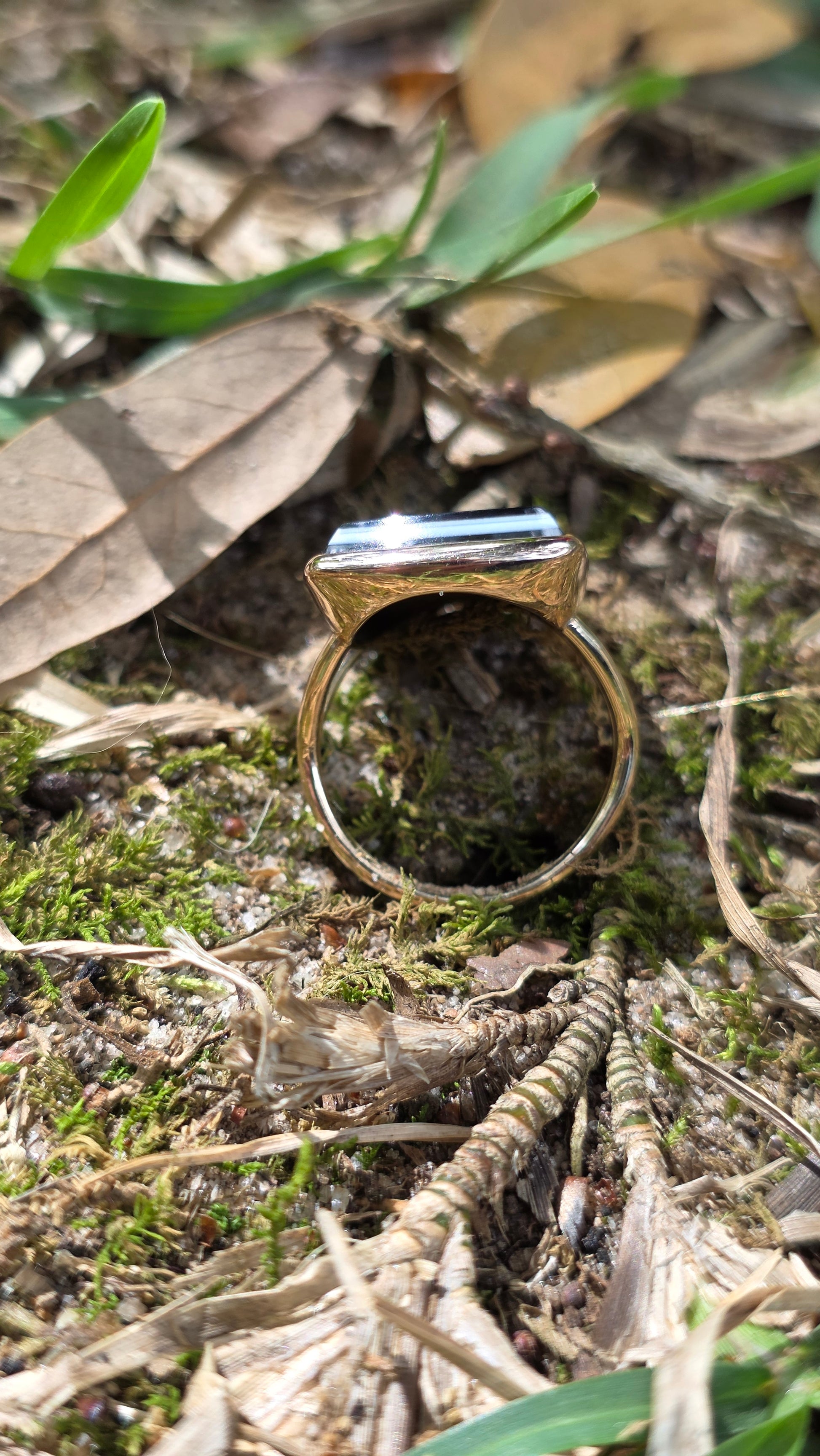 Gold ring with a large blue gemstone embedded in a natural setting of leaves and branches.
