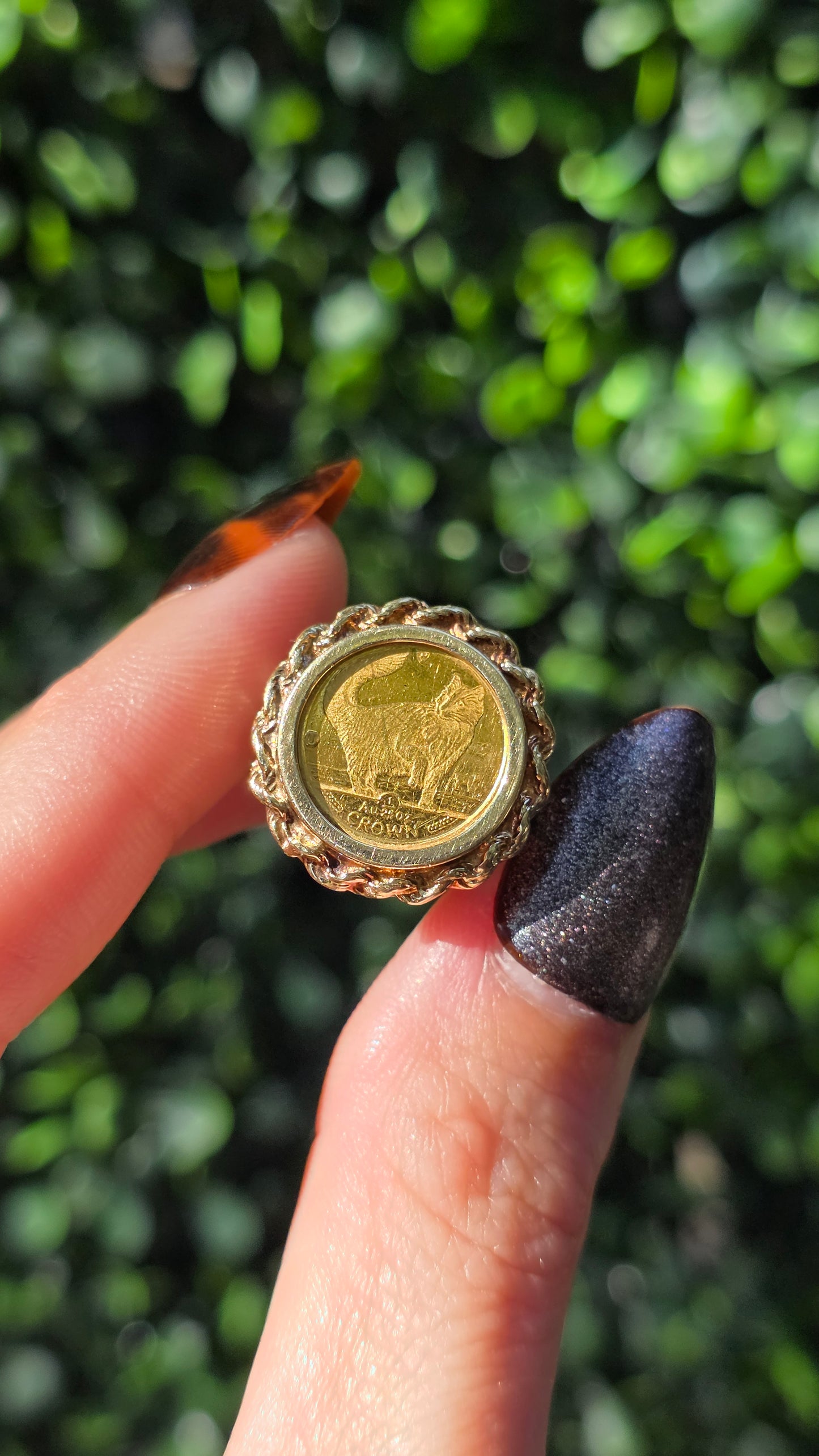 Gold coin ring held between fingers against a blurred green background