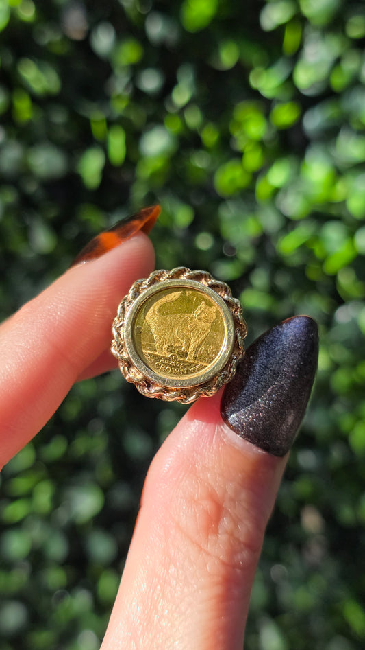Gold coin ring held between fingers against a blurred green background