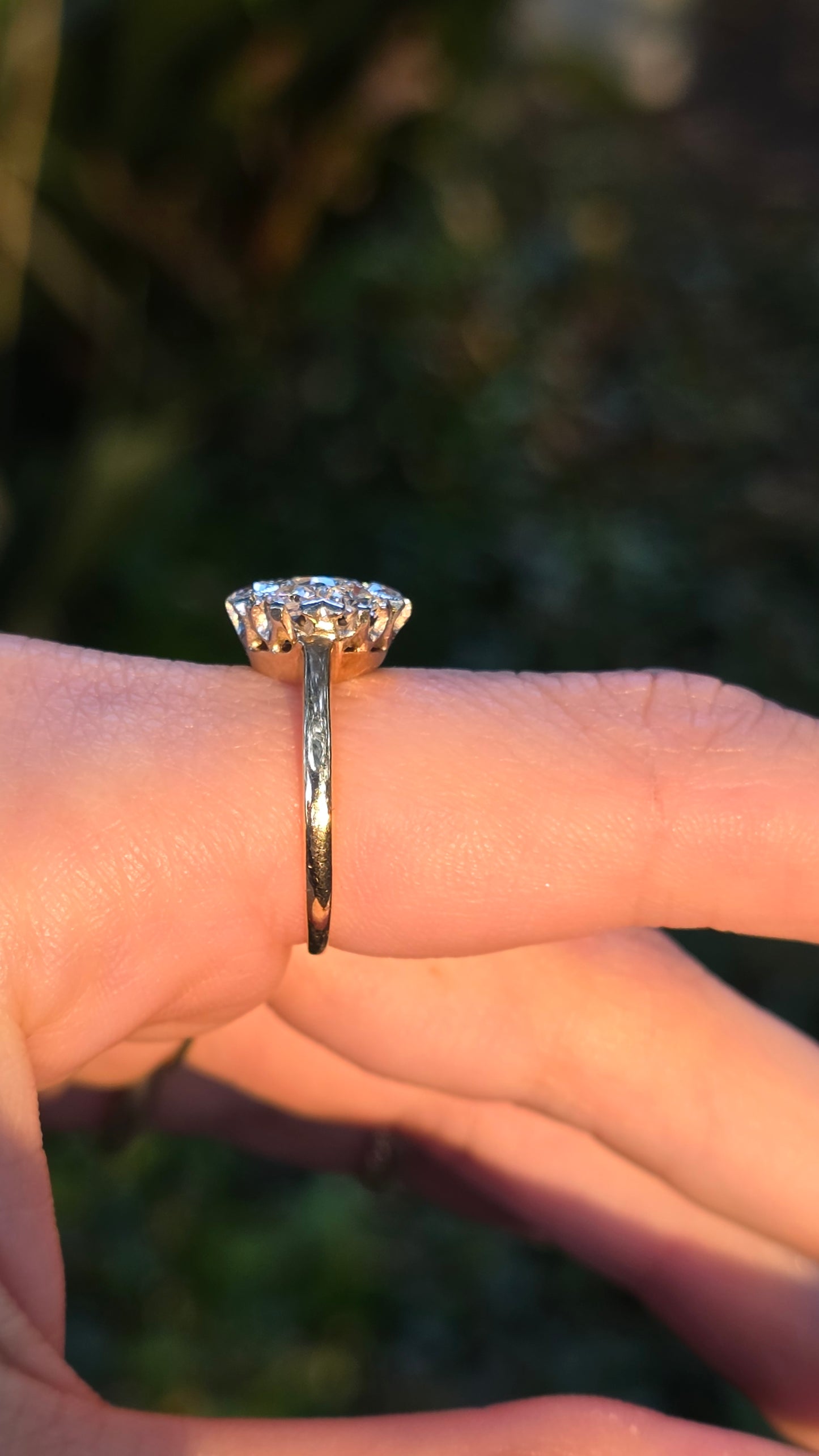 Close-up of a hand wearing a diamond ring with a blurred natural background