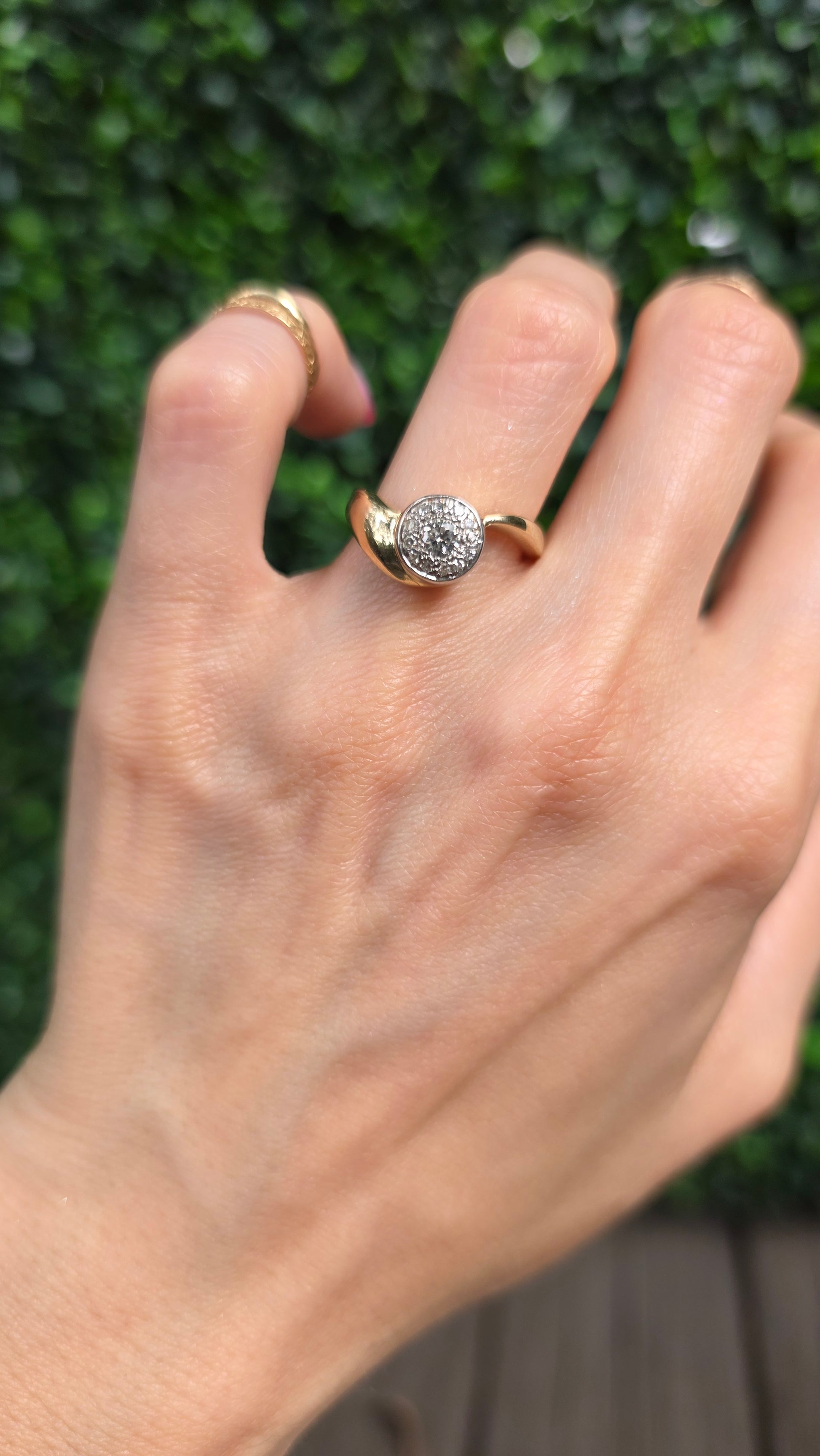 A close-up of a hand wearing a gold ring with a round, textured silver-toned center, set against a blurred background of green foliage and a wooden surface.