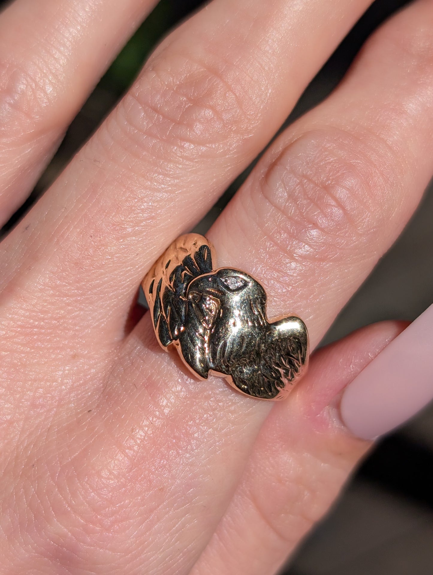 10k Eagle Ring