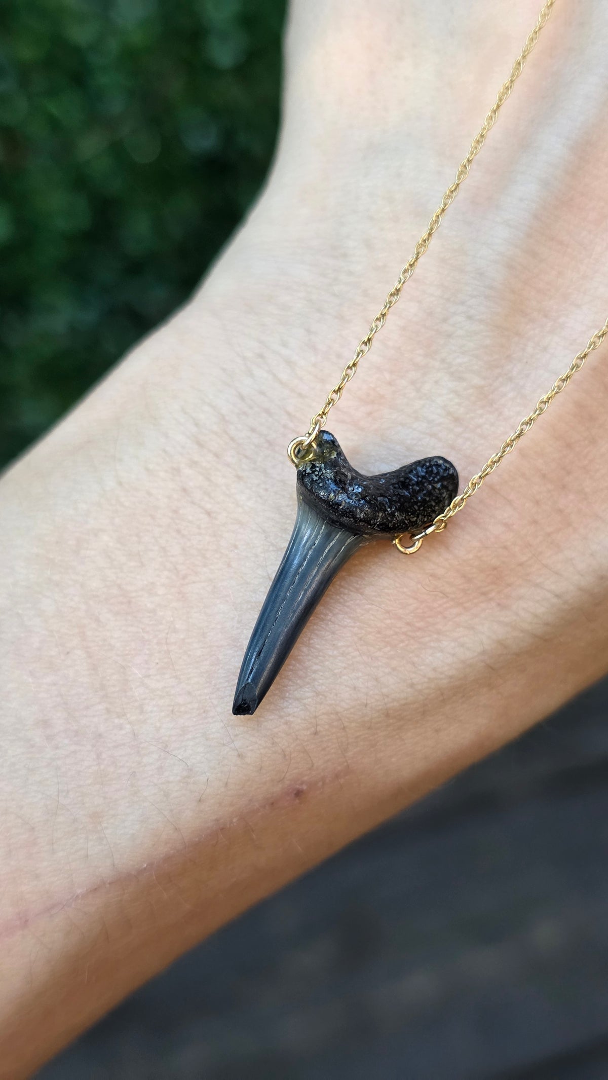 14k Shark Tooth Necklace