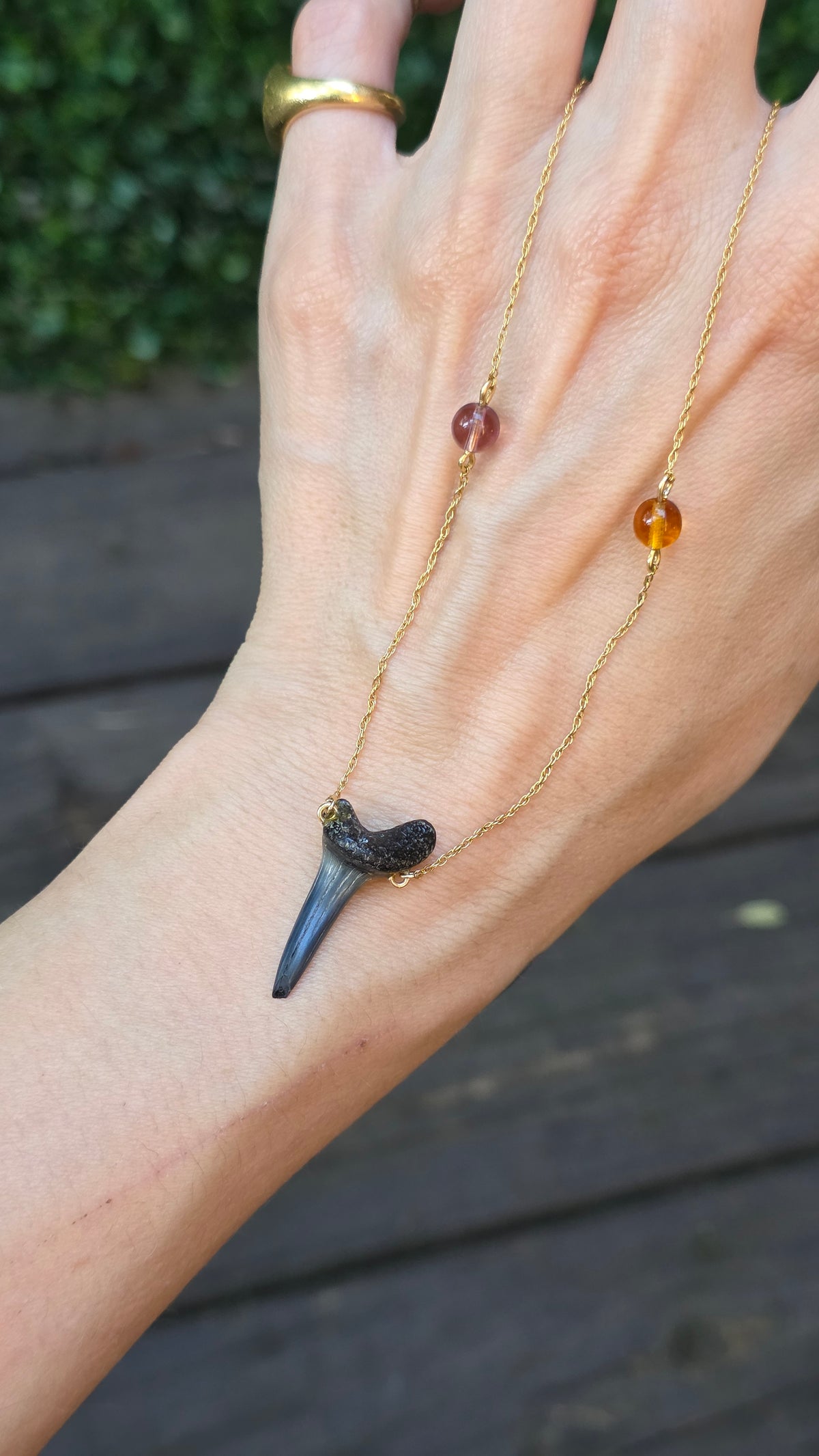 14k Shark Tooth Necklace