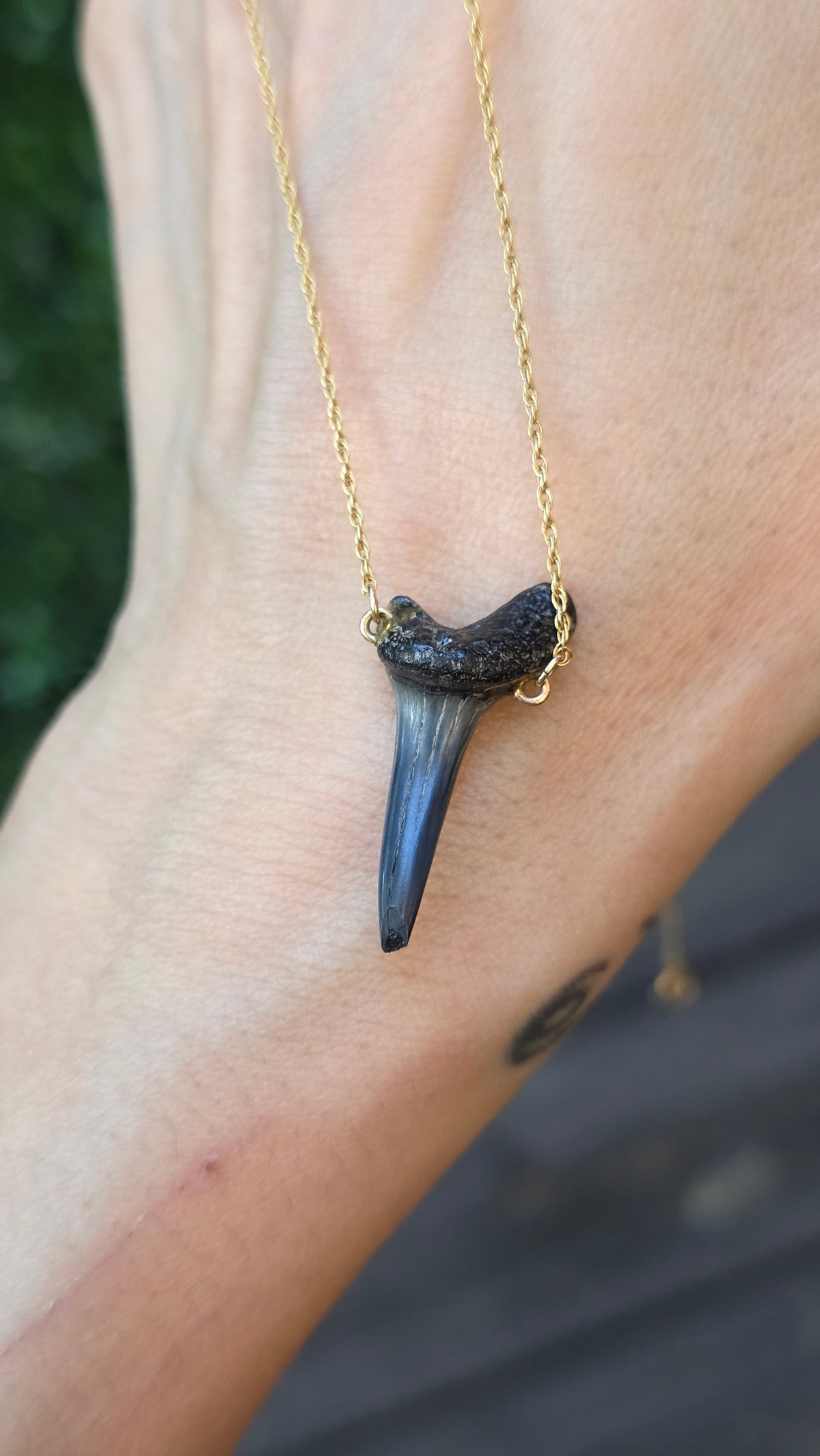 14k Shark Tooth Necklace