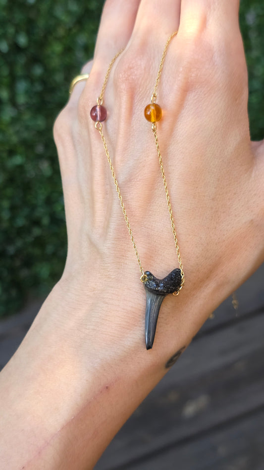 14k Shark Tooth Necklace