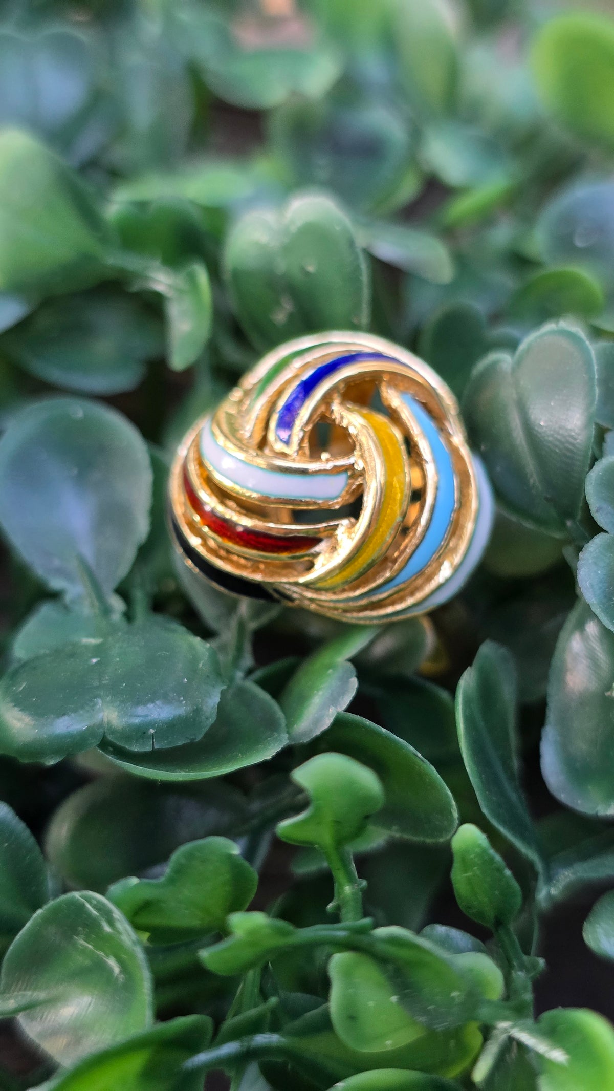 A gold-plated ring with a multi-colored enamel knot design, featuring blue, red, white, and yellow segments, resting on green foliage.