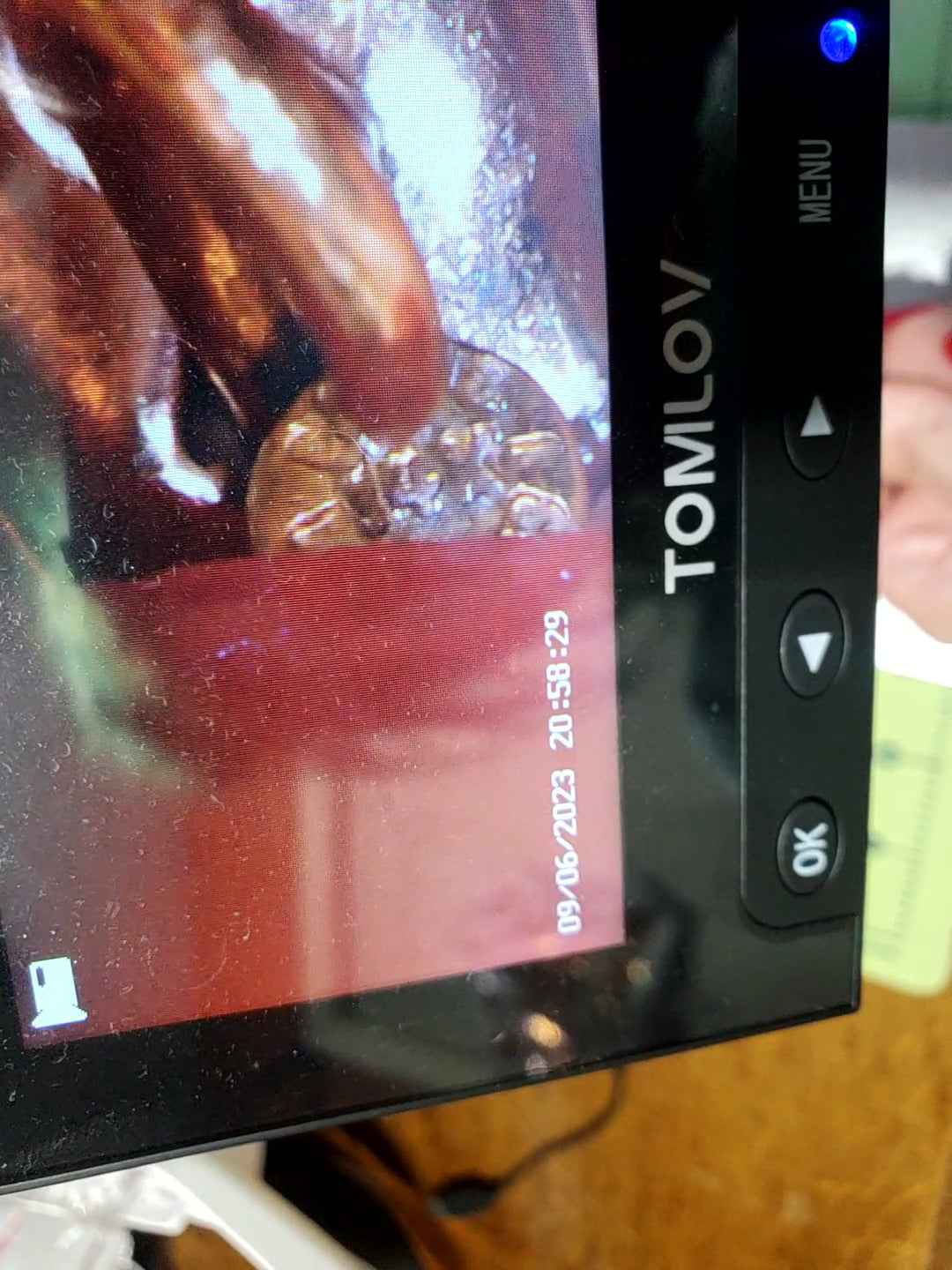 14k Vintage 24in Curb Chain