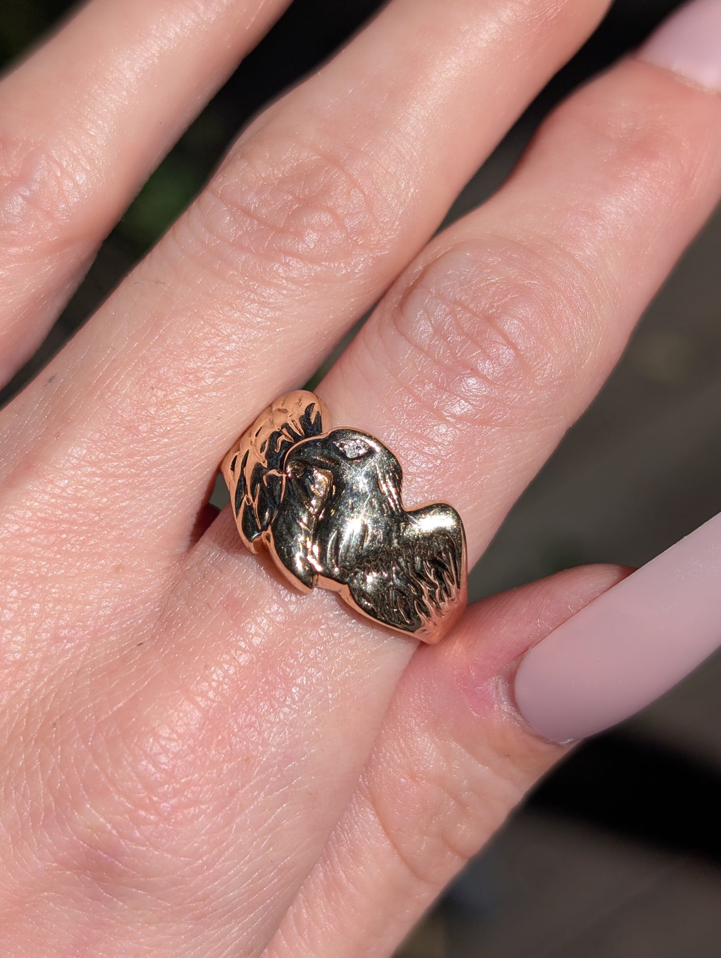 10k Eagle Ring