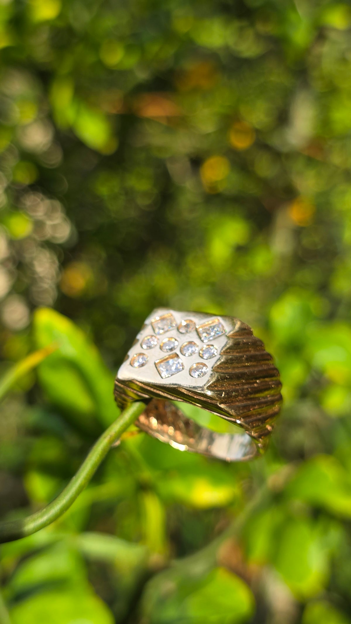 14k Scattered Diamond Signet